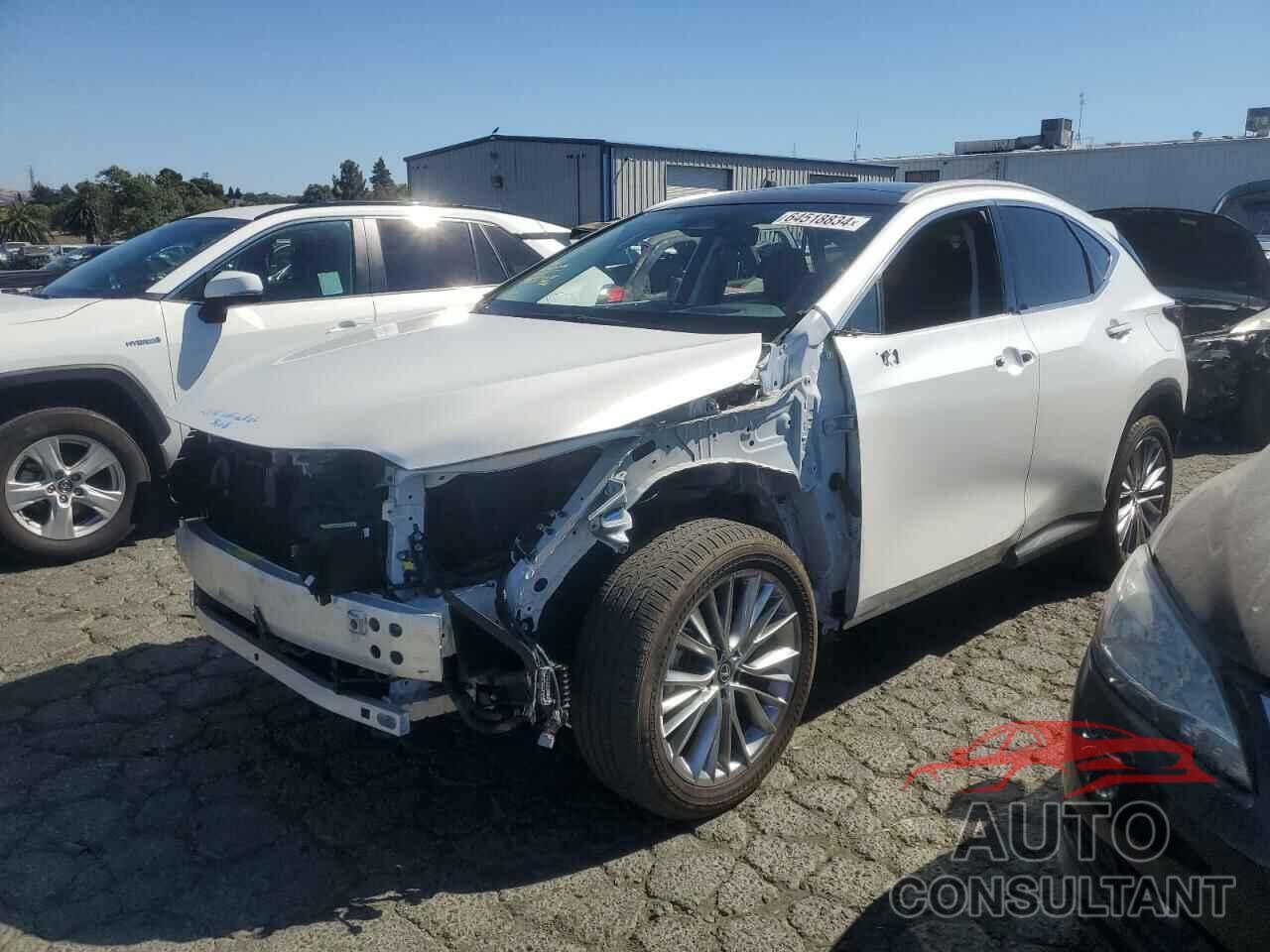 LEXUS NX 350H BA 2024 - 2T2HKCEZ8RC023241