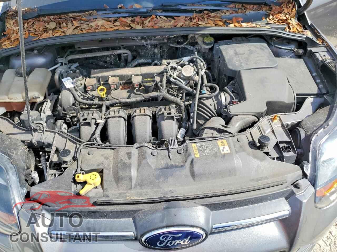 FORD FOCUS 2014 - 1FADP3F22EL336767