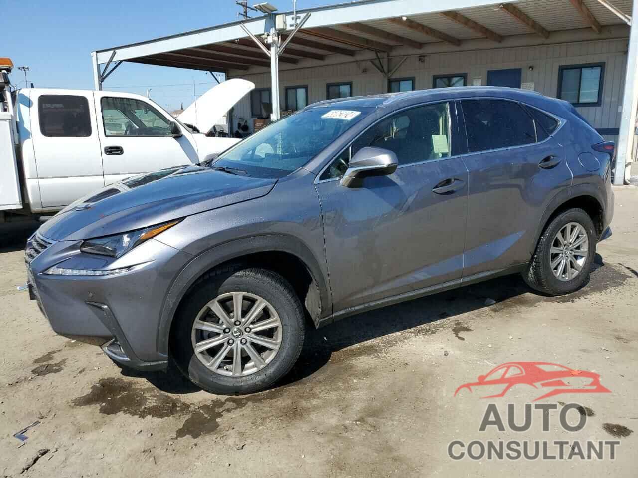 LEXUS NX 2019 - JTJYARBZ1K2125013