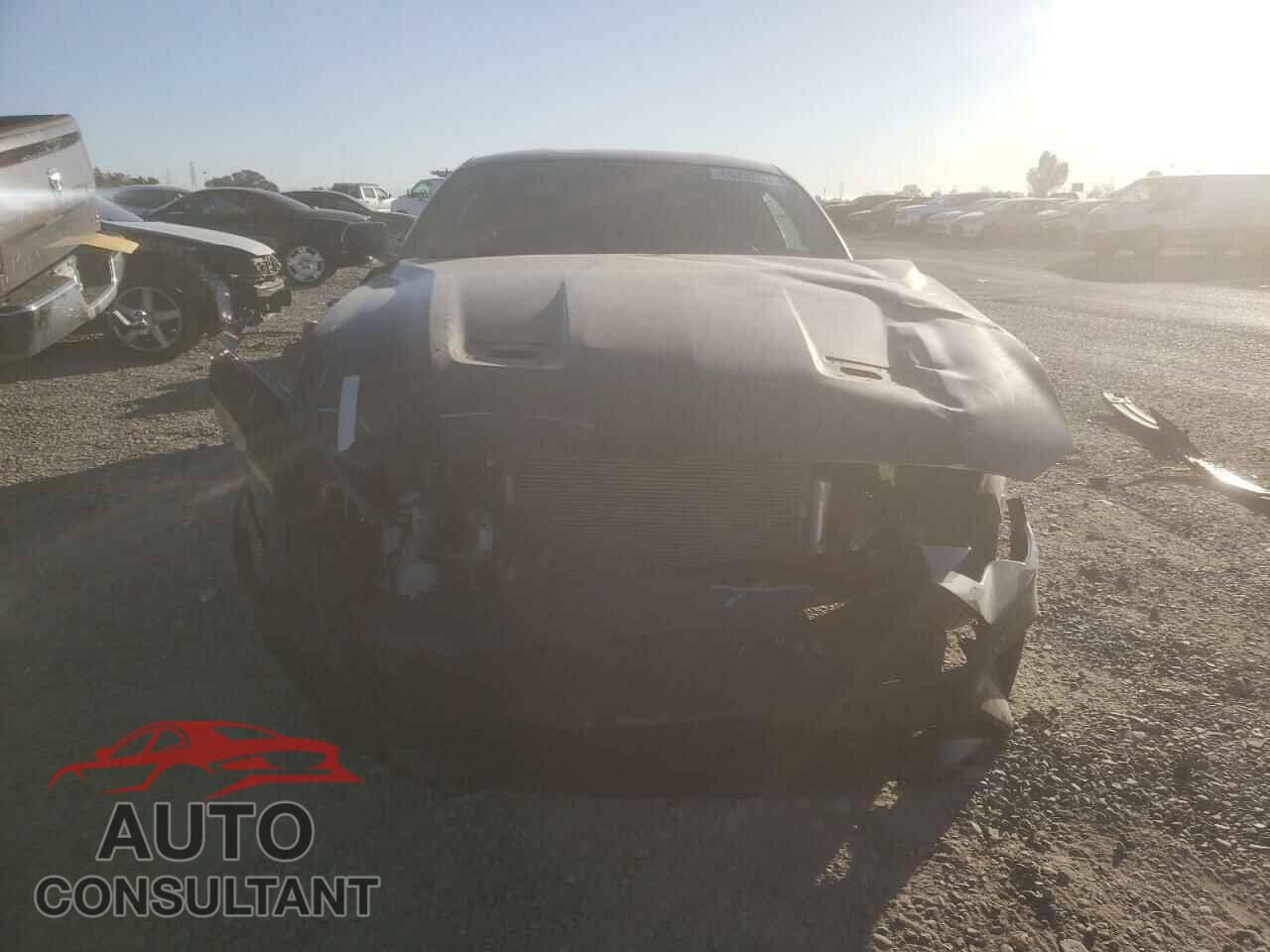 FORD MUSTANG 2019 - 1FA6P8CF4K5118746