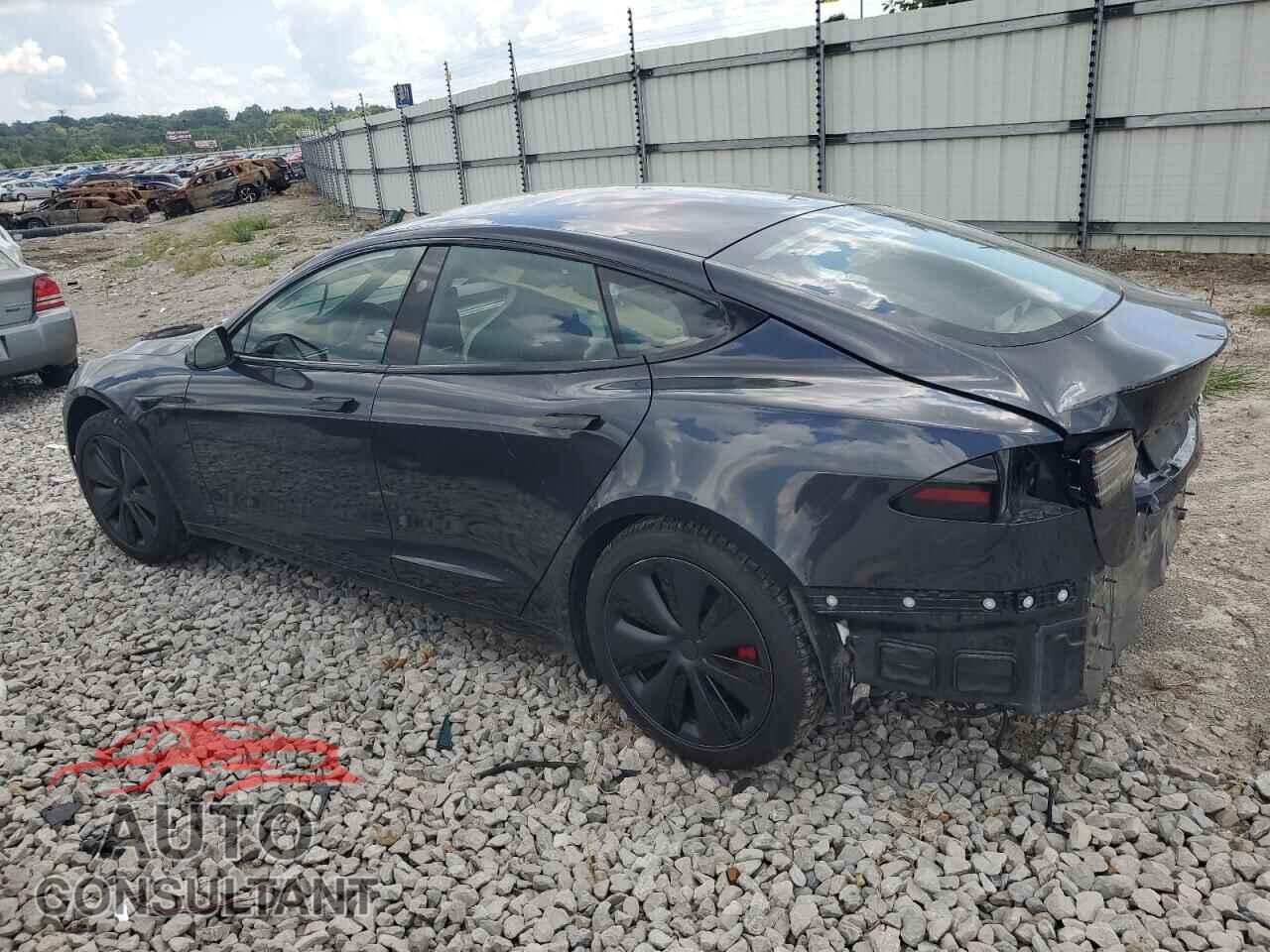 TESLA MODEL S 2024 - 5YJSA1E65RF546154