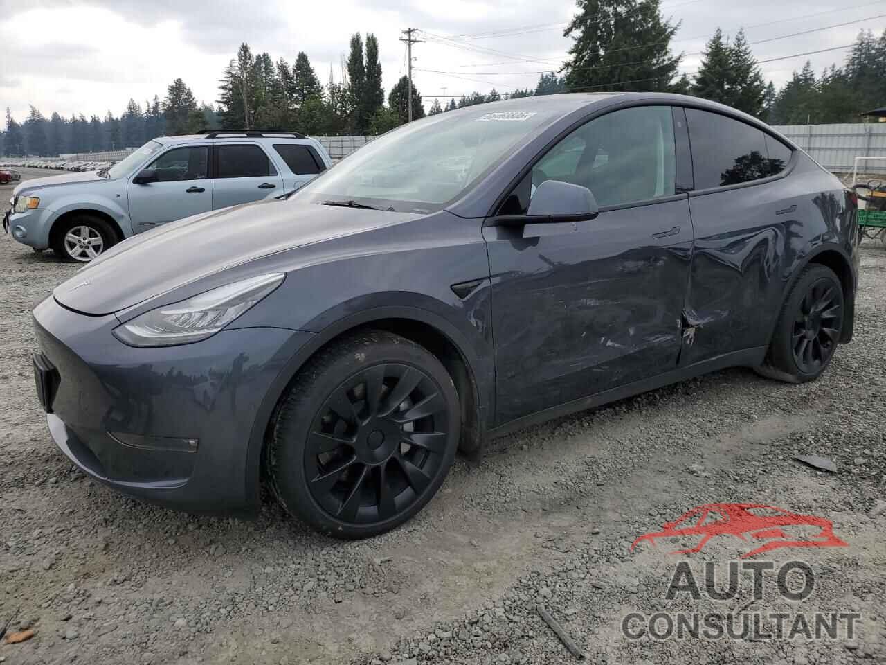 TESLA MODEL Y 2022 - 7SAYGDEE6NF340162