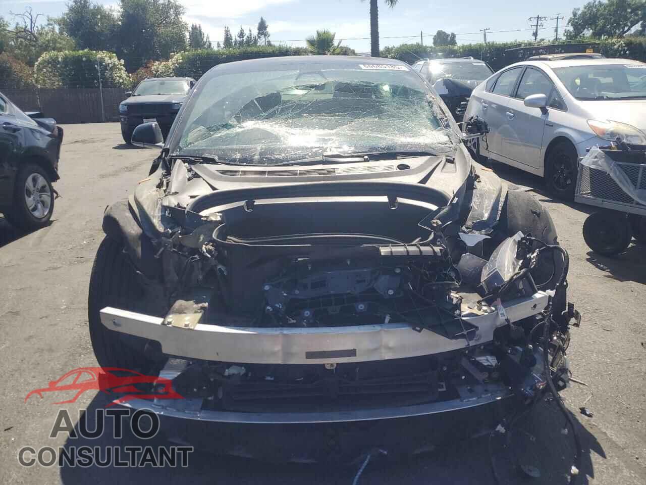 TESLA MODEL 3 2019 - 5YJ3E1EB4KF451659