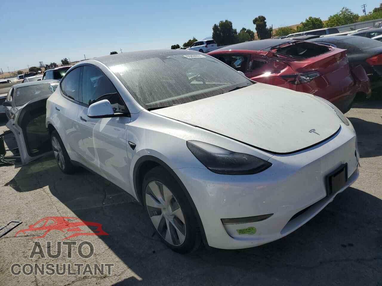 TESLA MODEL Y 2023 - 7SAYGDEE4PF786538