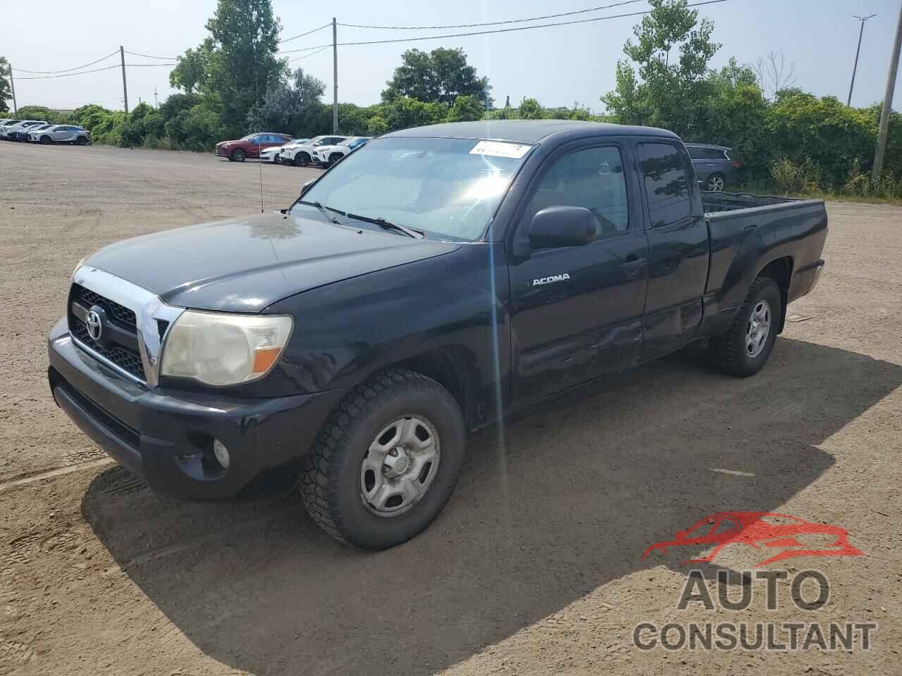 TOYOTA TACOMA 2011 - 5TFTX4CN3BX005842