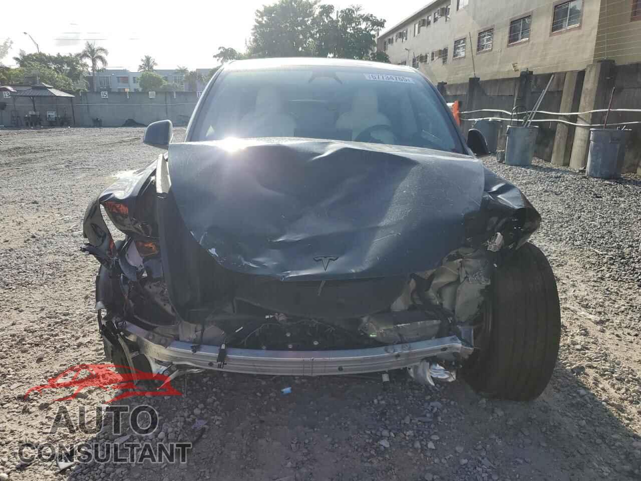 TESLA MODEL Y 2024 - 7SAYGAEE4RF182134