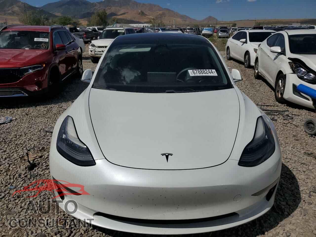 TESLA MODEL 3 2019 - 5YJ3E1EA7KF485392