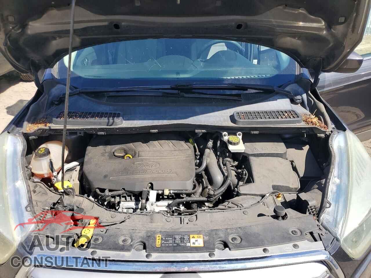 FORD ESCAPE 2017 - 1FMCU0GD8HUC80258