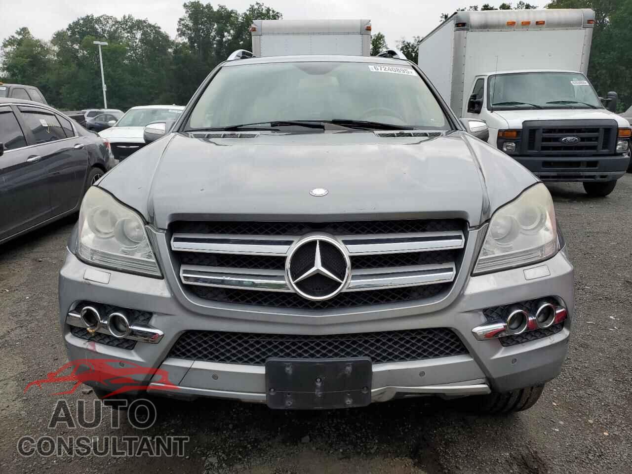 MERCEDES-BENZ GL-CLASS 2010 - 4JGBF7BEXAA565856