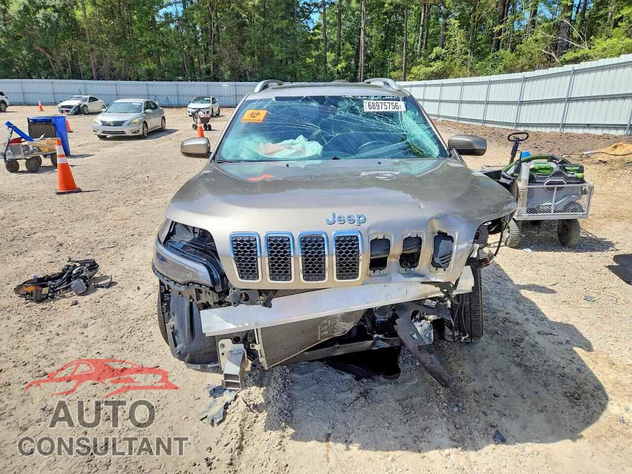 JEEP CHEROKEE 2019 - 1C4PJLLB8KD129349