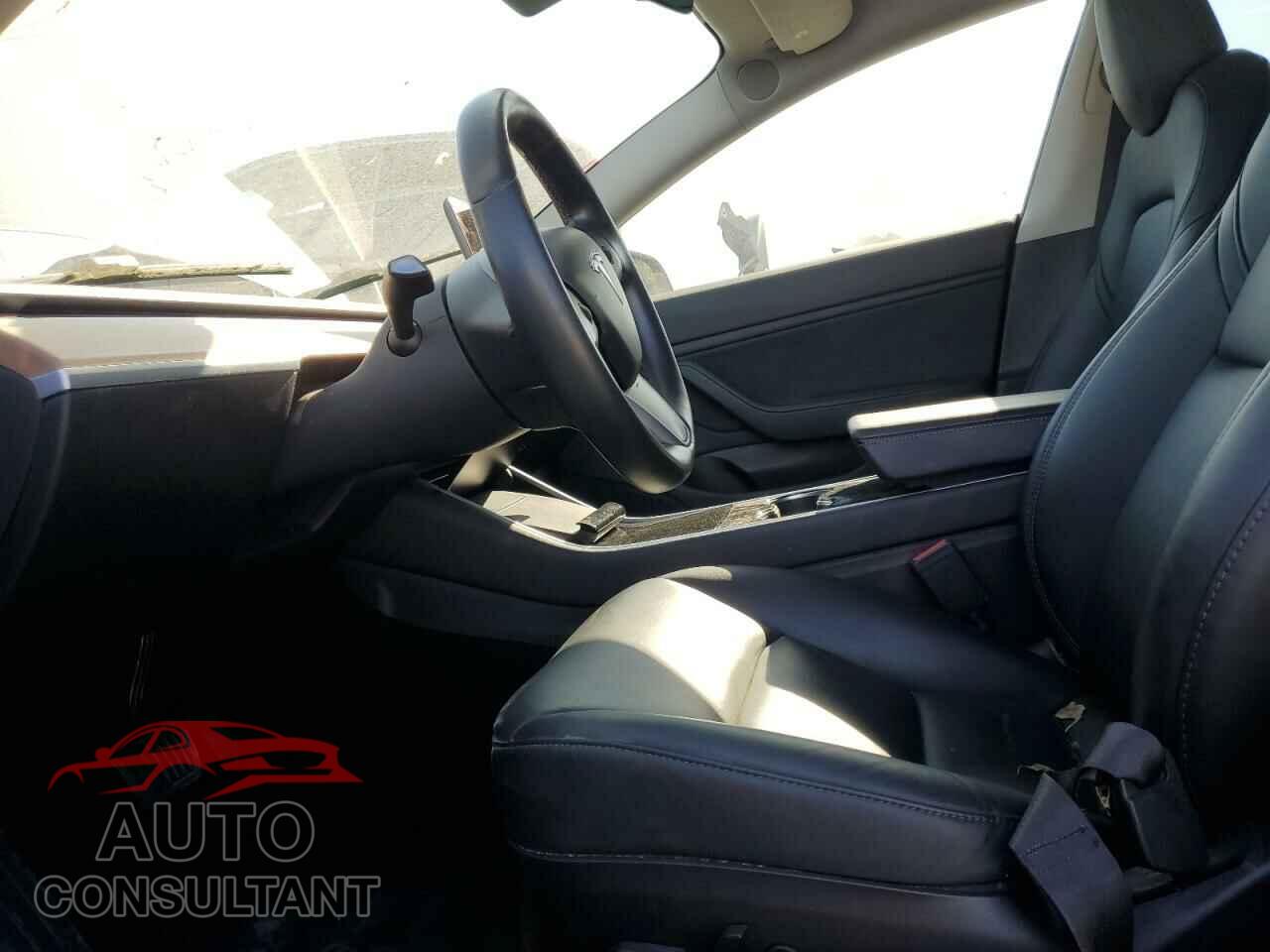 TESLA MODEL 3 2019 - 5YJ3E1EA5KF309151