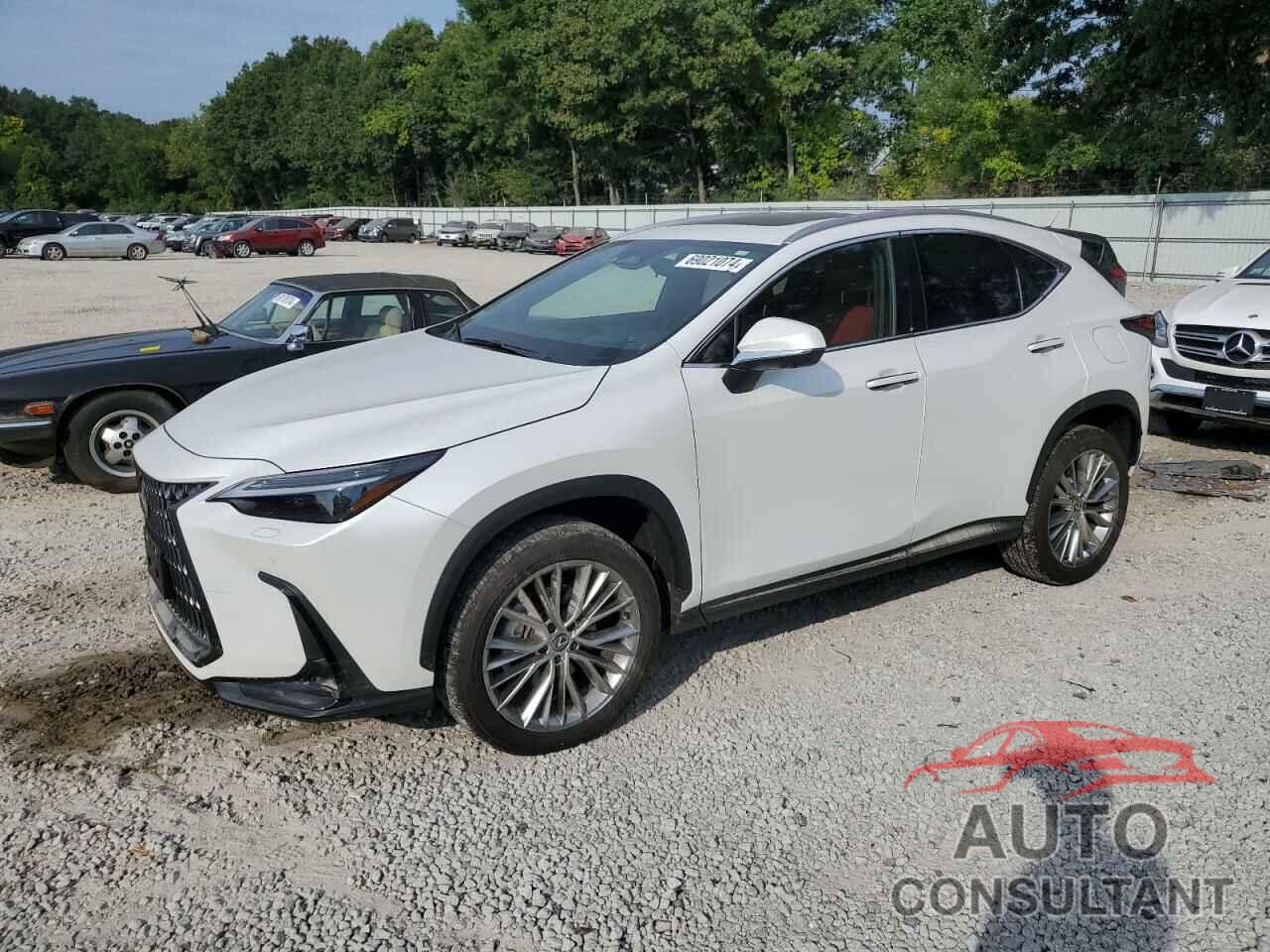 LEXUS NX 350 LUX 2024 - 2T2HGCEZ0RC032775