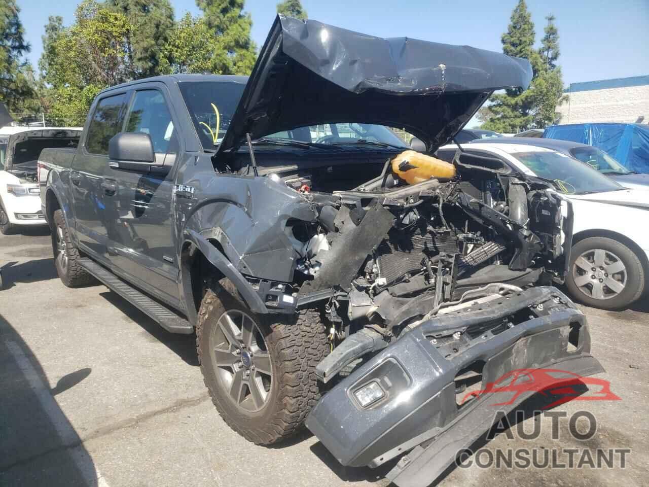 FORD F-150 2016 - 1FTEW1EG9GKE84393