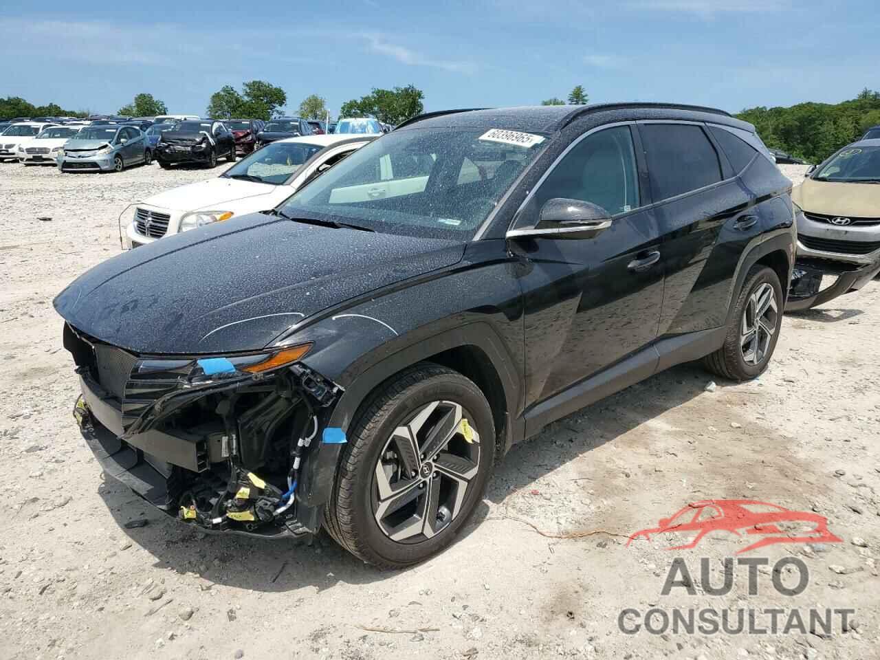 HYUNDAI TUCSON 2024 - 5NMJECDE8RH304123