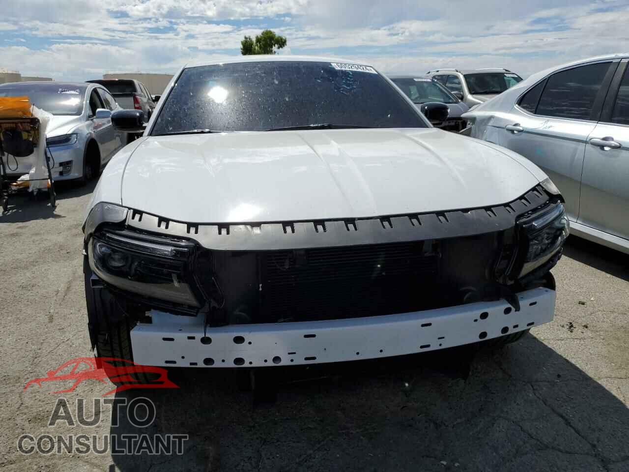 DODGE CHARGER 2023 - 2C3CDXBG0PH675278