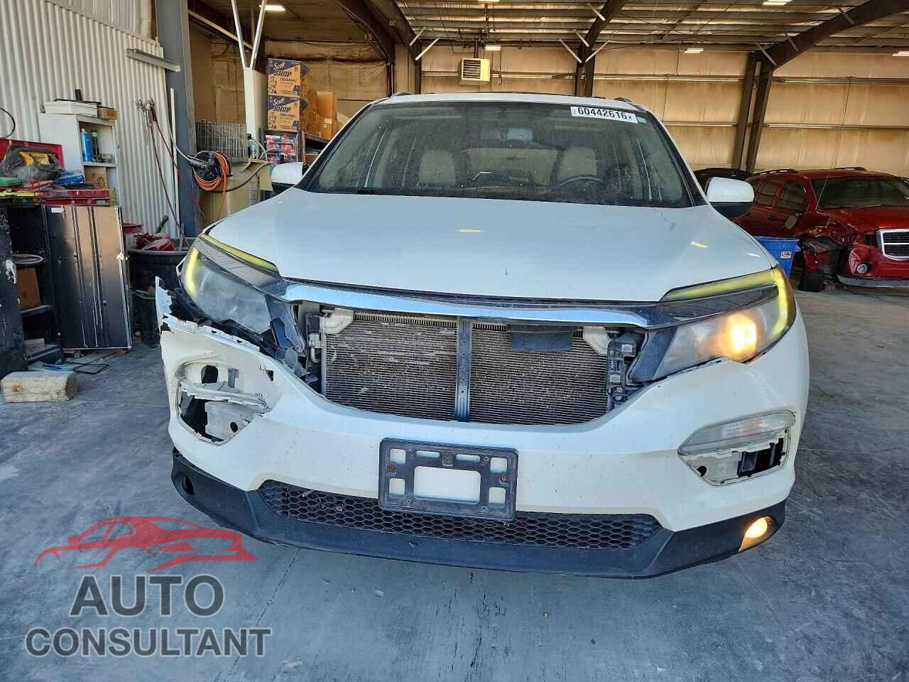 HONDA PILOT 2018 - 5FNYF6H51JB072932