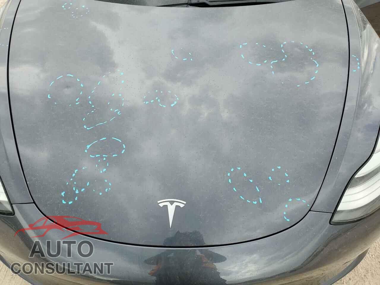 TESLA MODEL 3 2018 - 5YJ3E1EB2JF169809