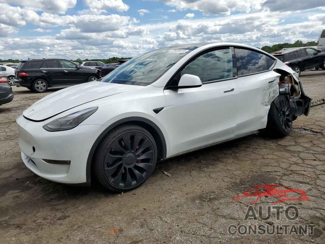 TESLA MODEL Y 2022 - 7SAYGDEF3NF508543