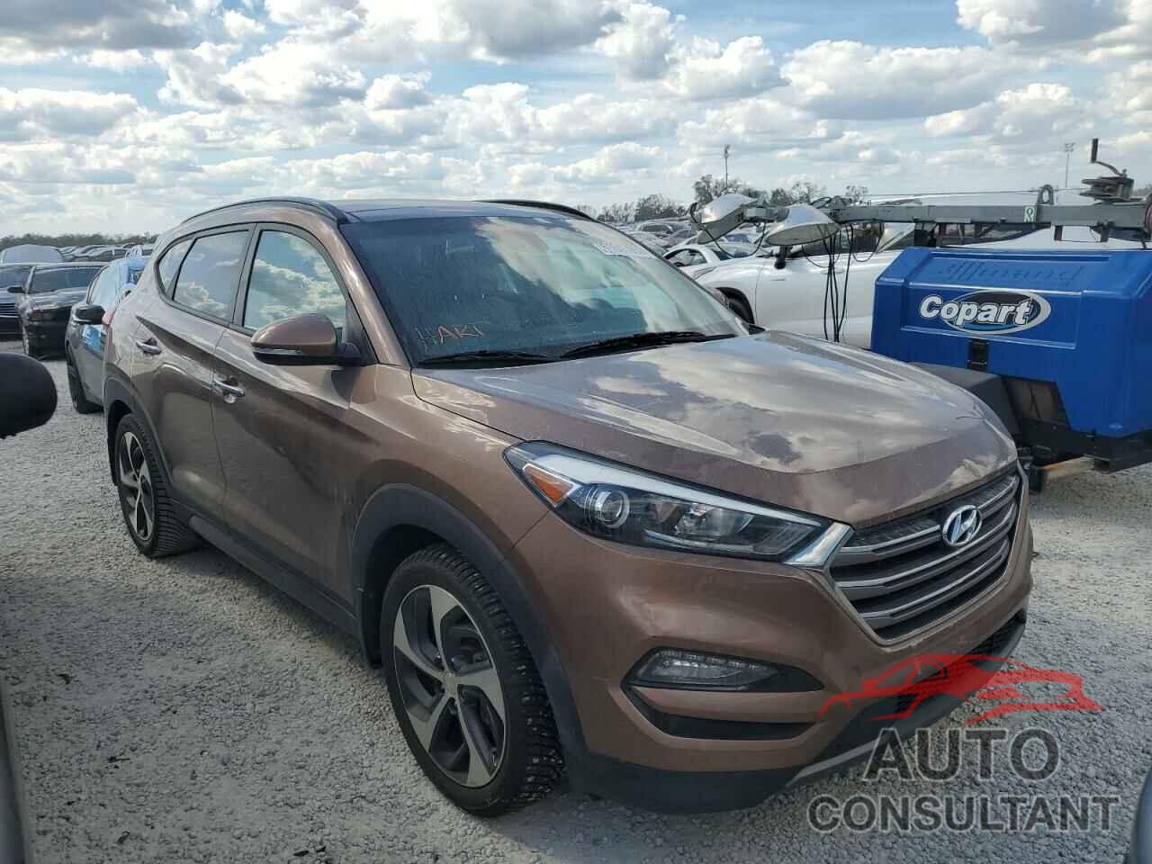 HYUNDAI TUCSON 2016 - KM8J33A26GU166034