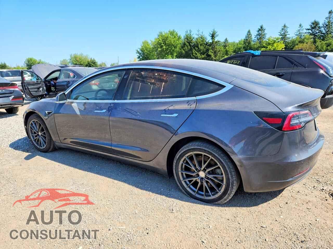 TESLA MODEL 3 2019 - 5YJ3E1EA4KF321663