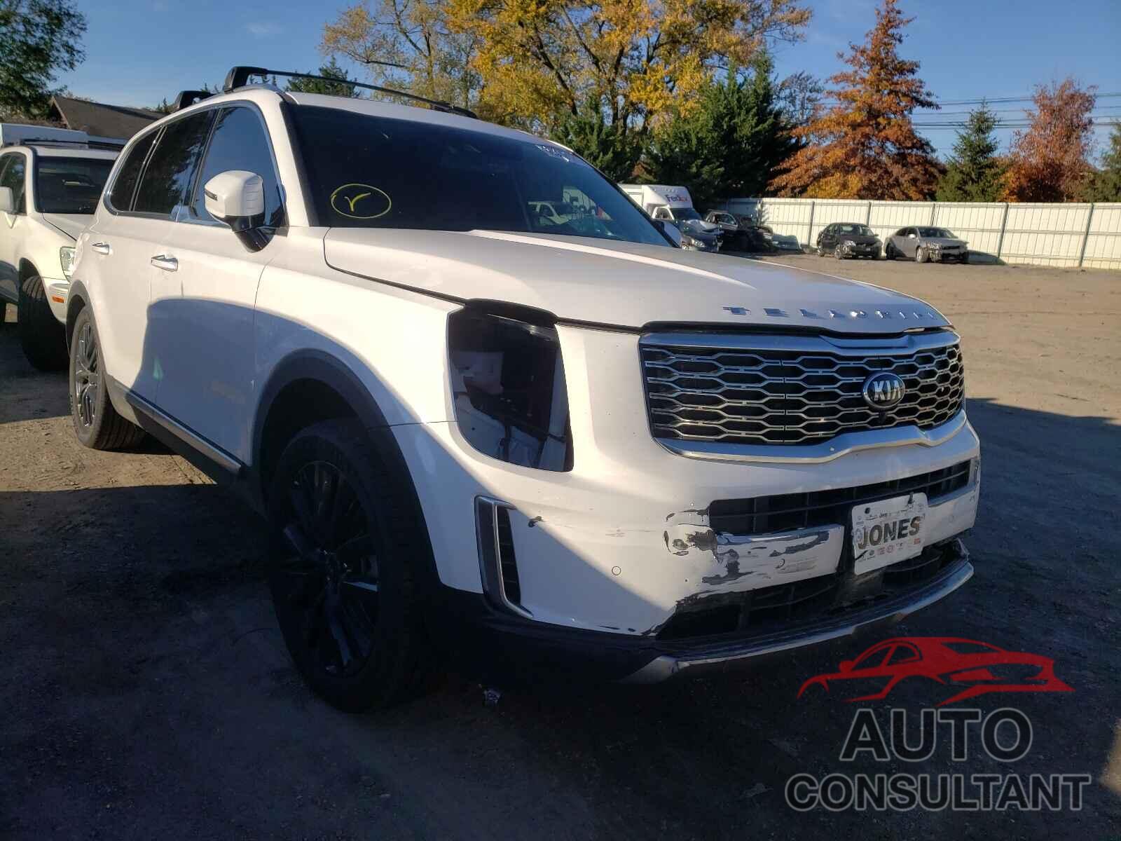 KIA TELLURIDE 2021 - 5XYP5DHC6MG166450