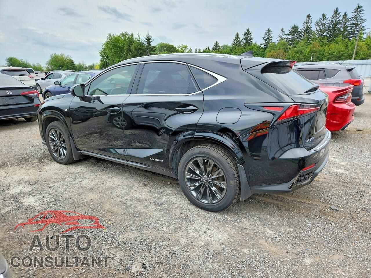 LEXUS NX 2021 - JTJSJRDZ6M2153377