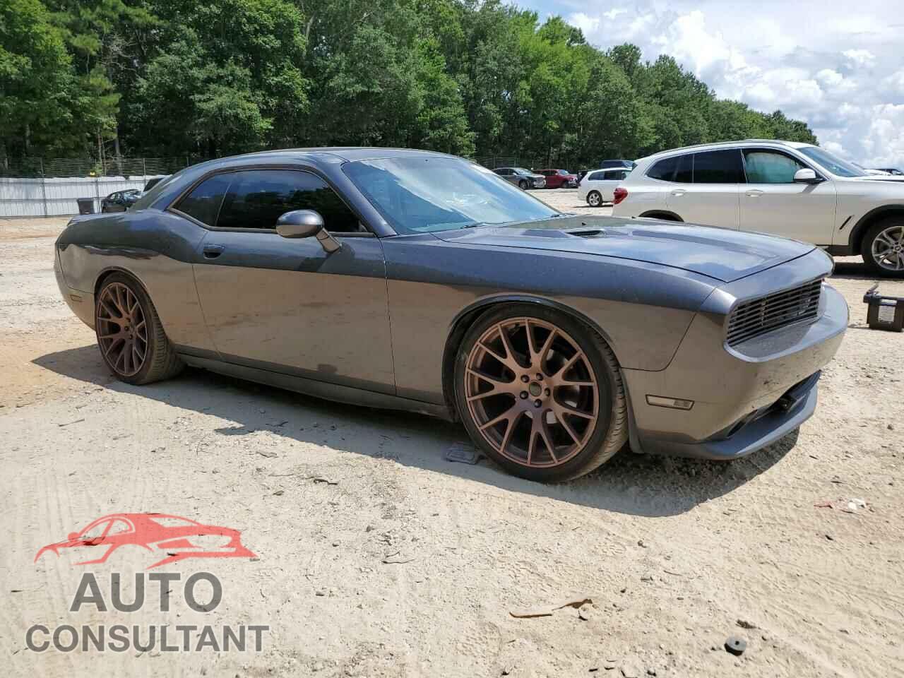 DODGE CHALLENGER 2013 - 2C3CDYAG4DH705367