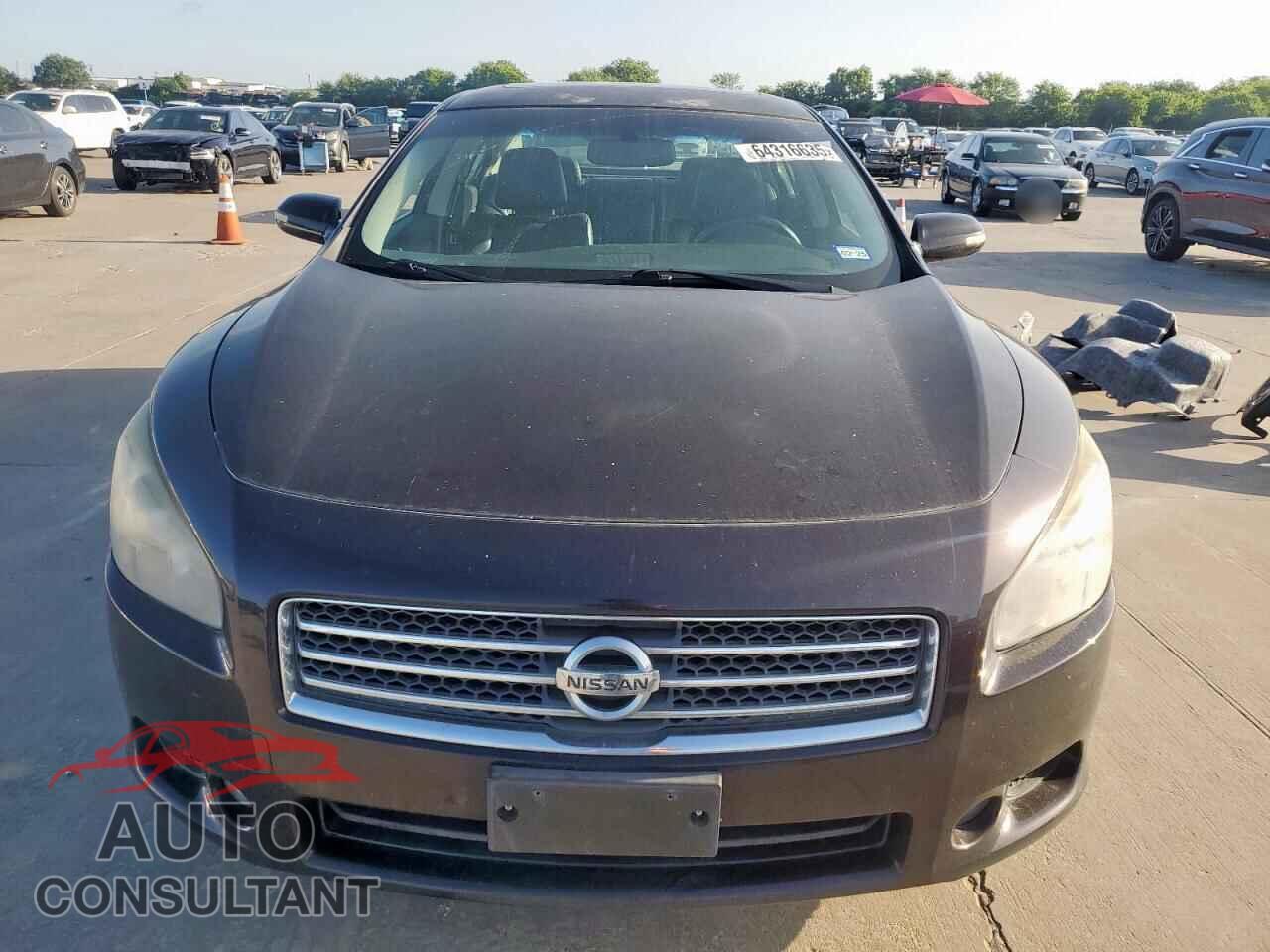 NISSAN MAXIMA 2011 - 1N4AA5AP1BC819276