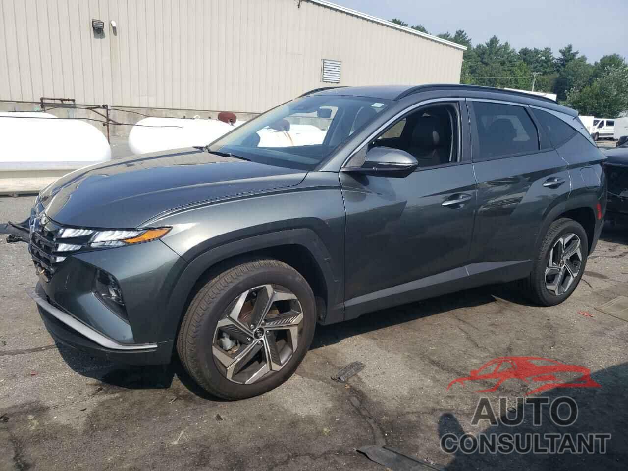 HYUNDAI TUCSON 2023 - 5NMJFCAE8PH255391