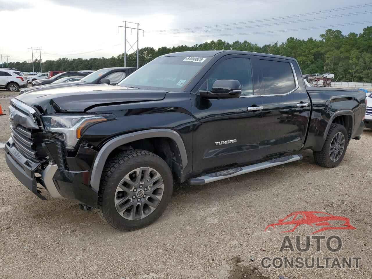 TOYOTA TUNDRA 2023 - 5TFJA5ECXPX017021