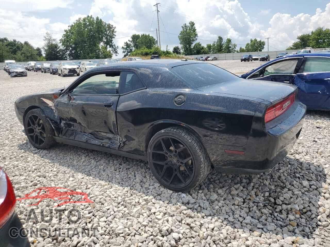 DODGE CHALLENGER 2013 - 2C3CDYAG2DH599811