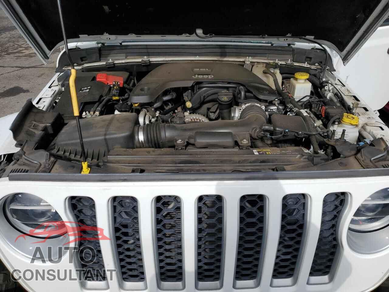 JEEP GLADIATOR 2020 - 1C6HJTFG8LL176925