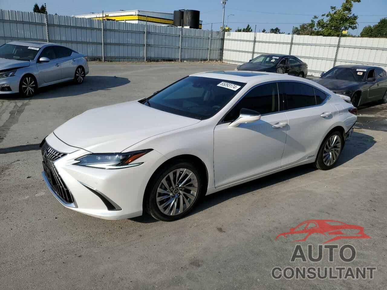 LEXUS ES300 2022 - 58AEA1C15NU015479