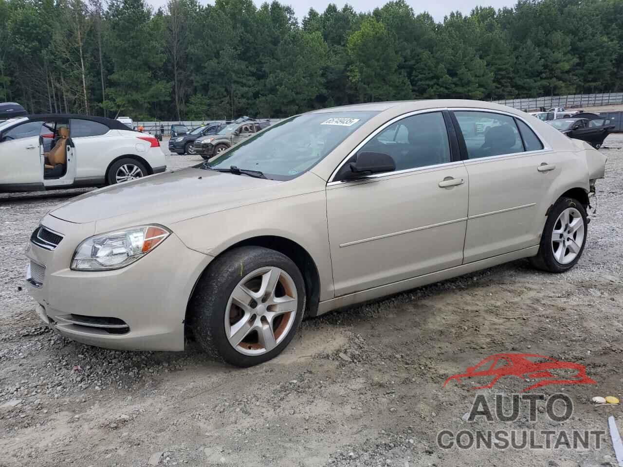 CHEVROLET MALIBU 2011 - 1G1ZB5E17BF116546