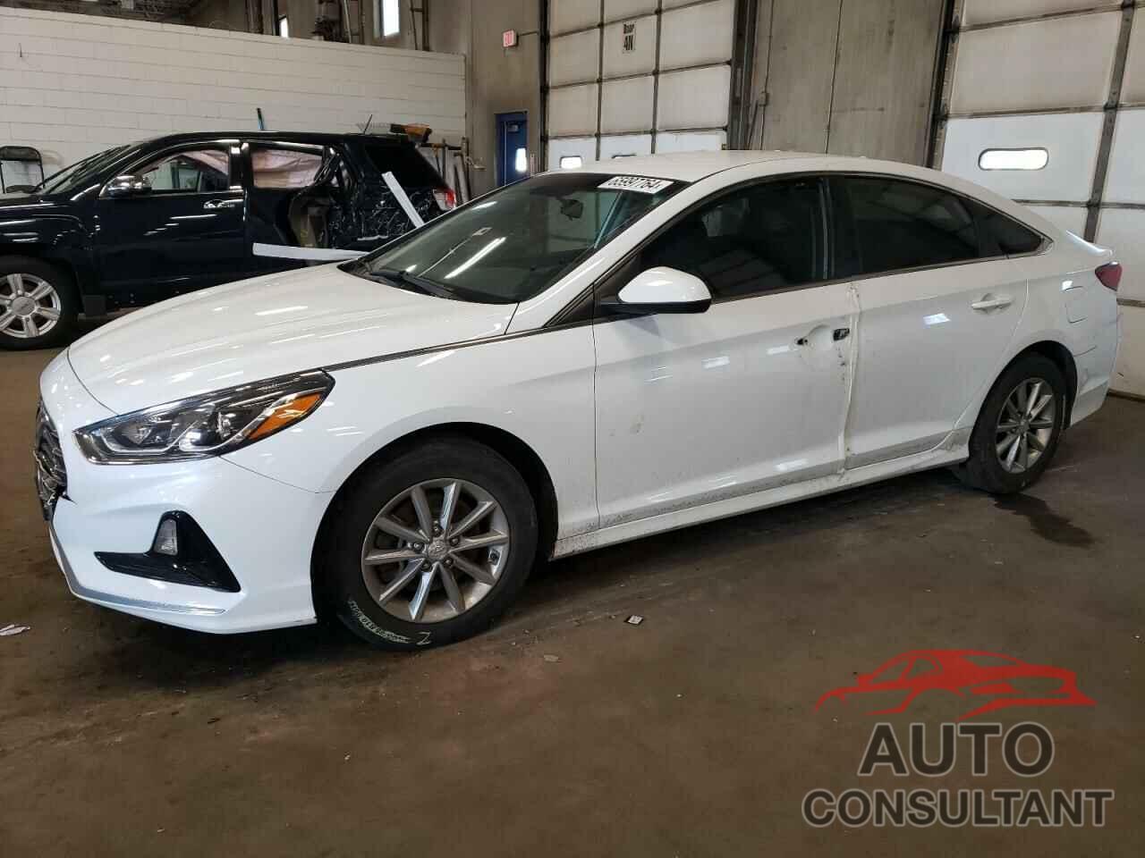 HYUNDAI SONATA 2019 - 5NPE24AF2KH784570