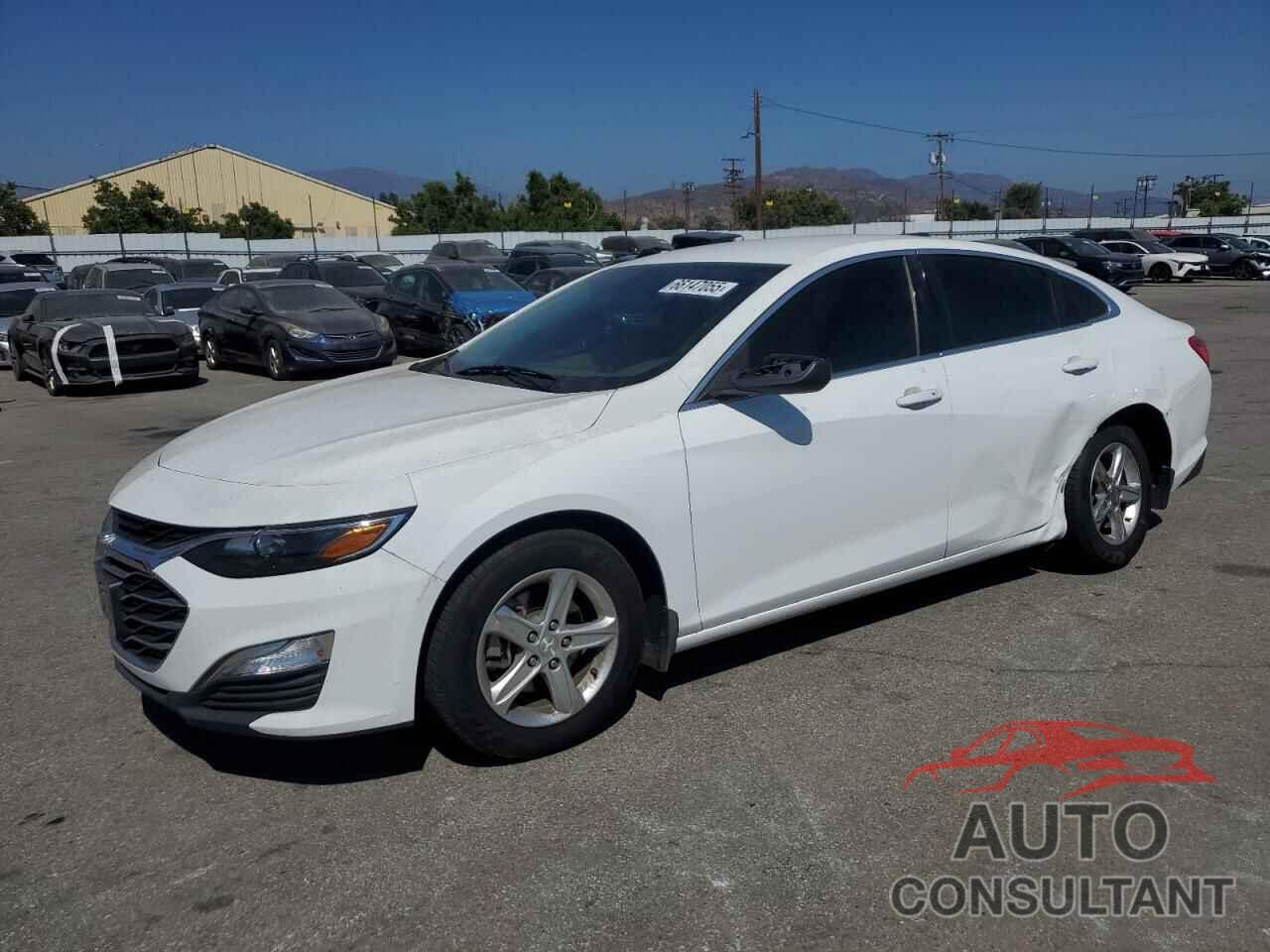 CHEVROLET MALIBU 2019 - 1G1ZB5ST4KF120284