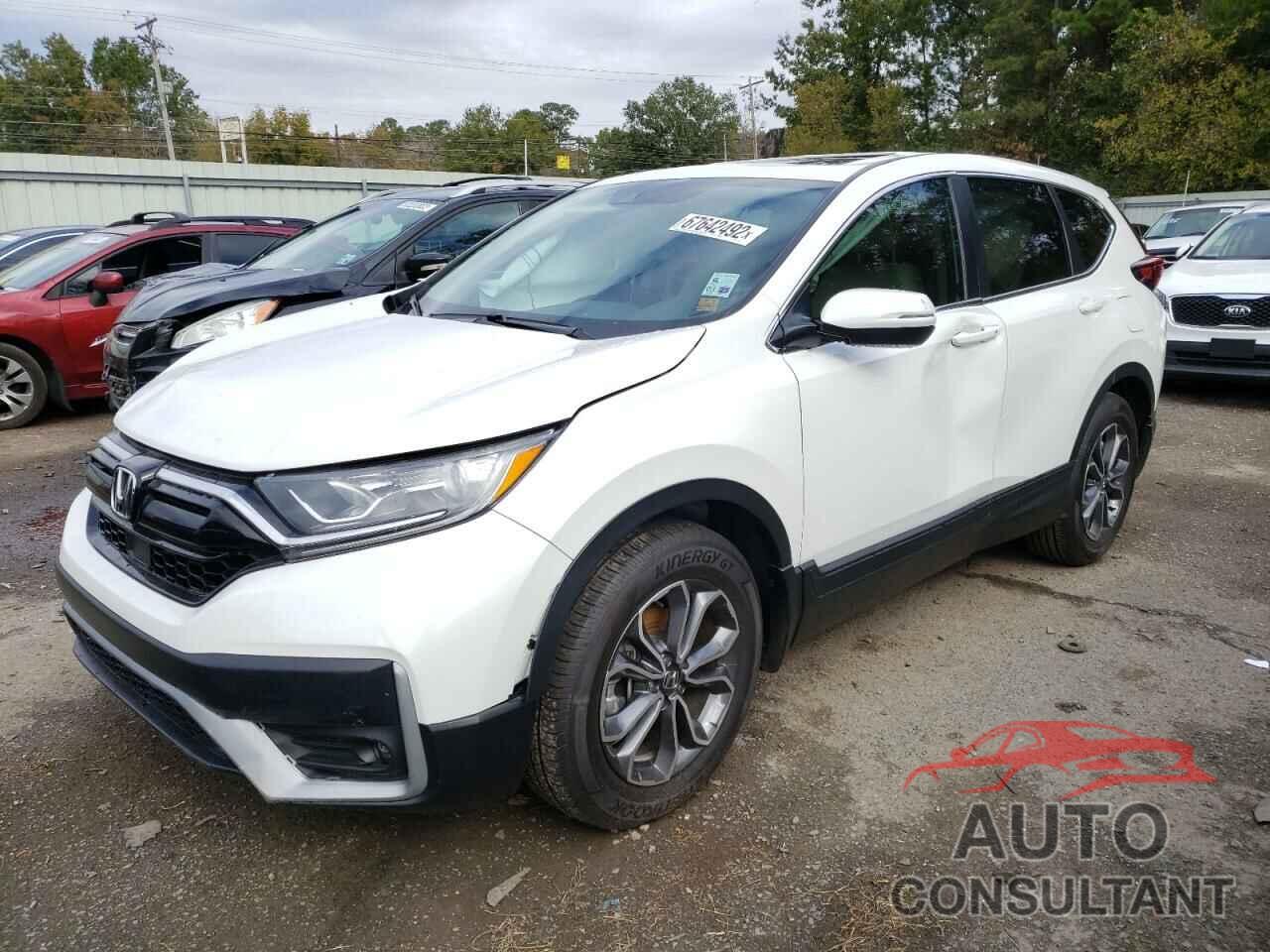 HONDA CRV 2022 - 5J6RW1H83NA011706