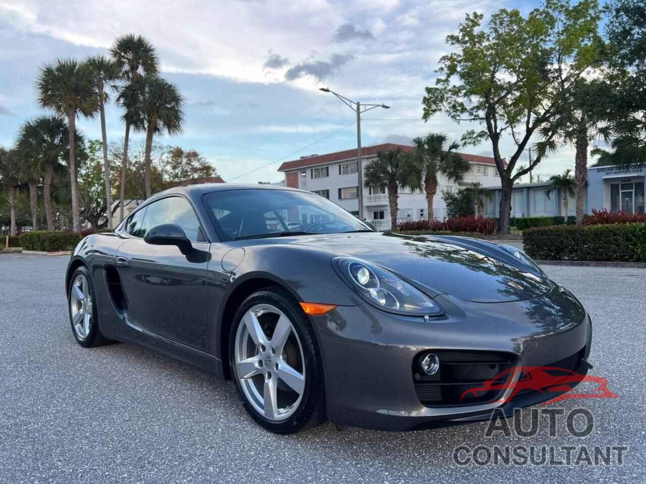 PORSCHE CAYMAN 2015 - WP0AA2A87FK161539