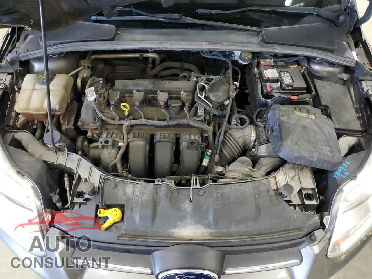 FORD FOCUS 2014 - 1FADP3F26EL232234