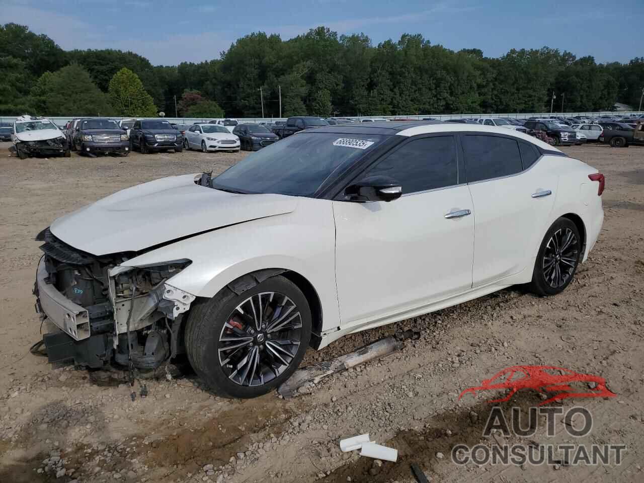 NISSAN MAXIMA 2016 - 1N4AA6AP1GC436144