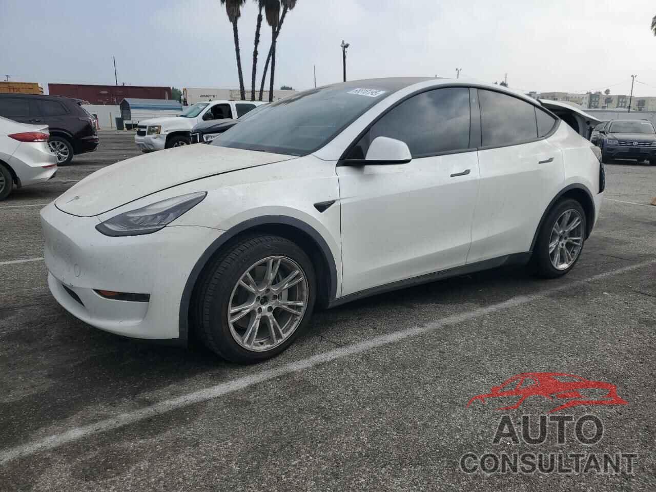 TESLA MODEL Y 2020 - 5YJYGDEE4LF036970