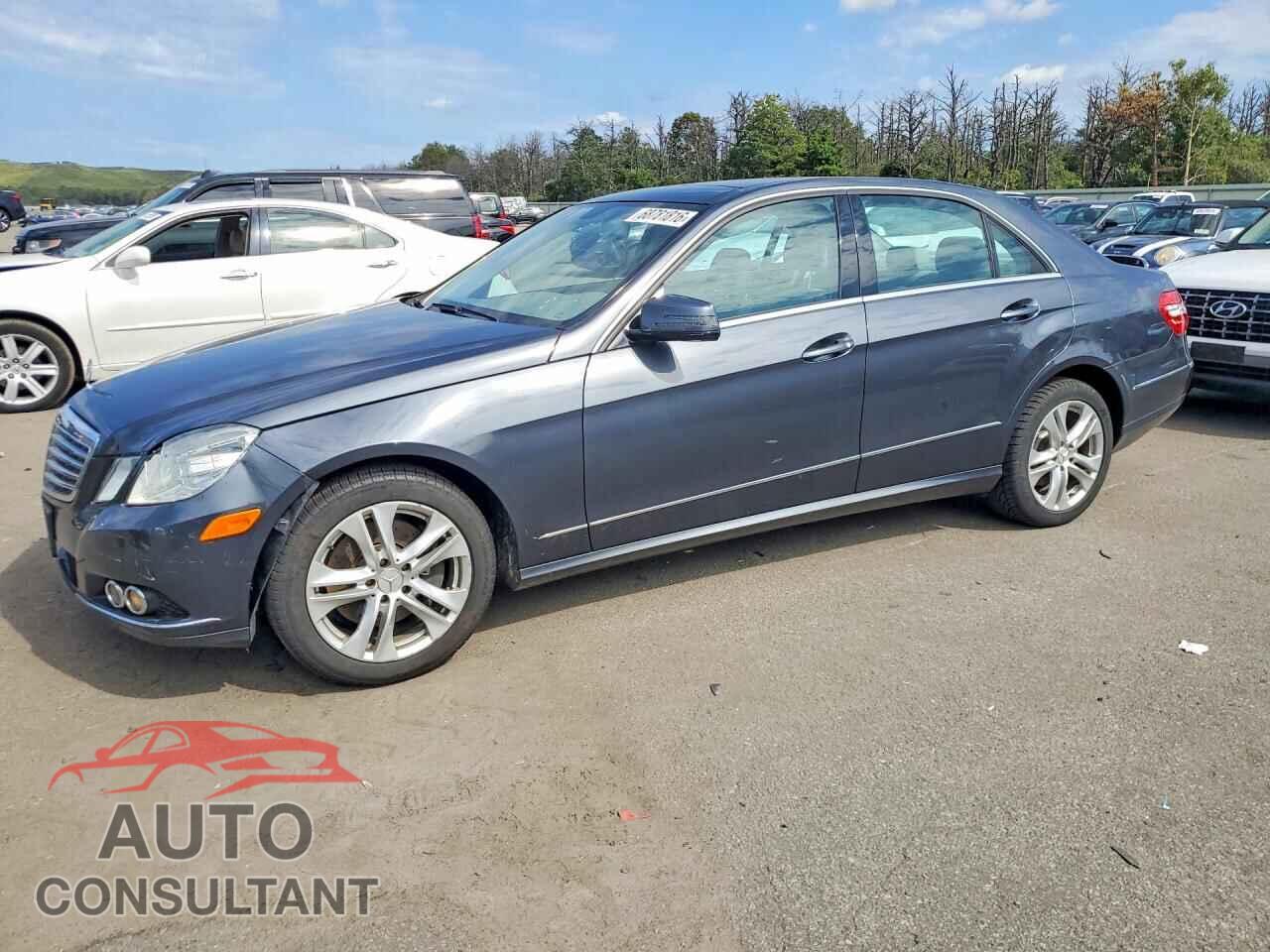 MERCEDES-BENZ E-CLASS 2010 - WDDHF8HB0AA192351