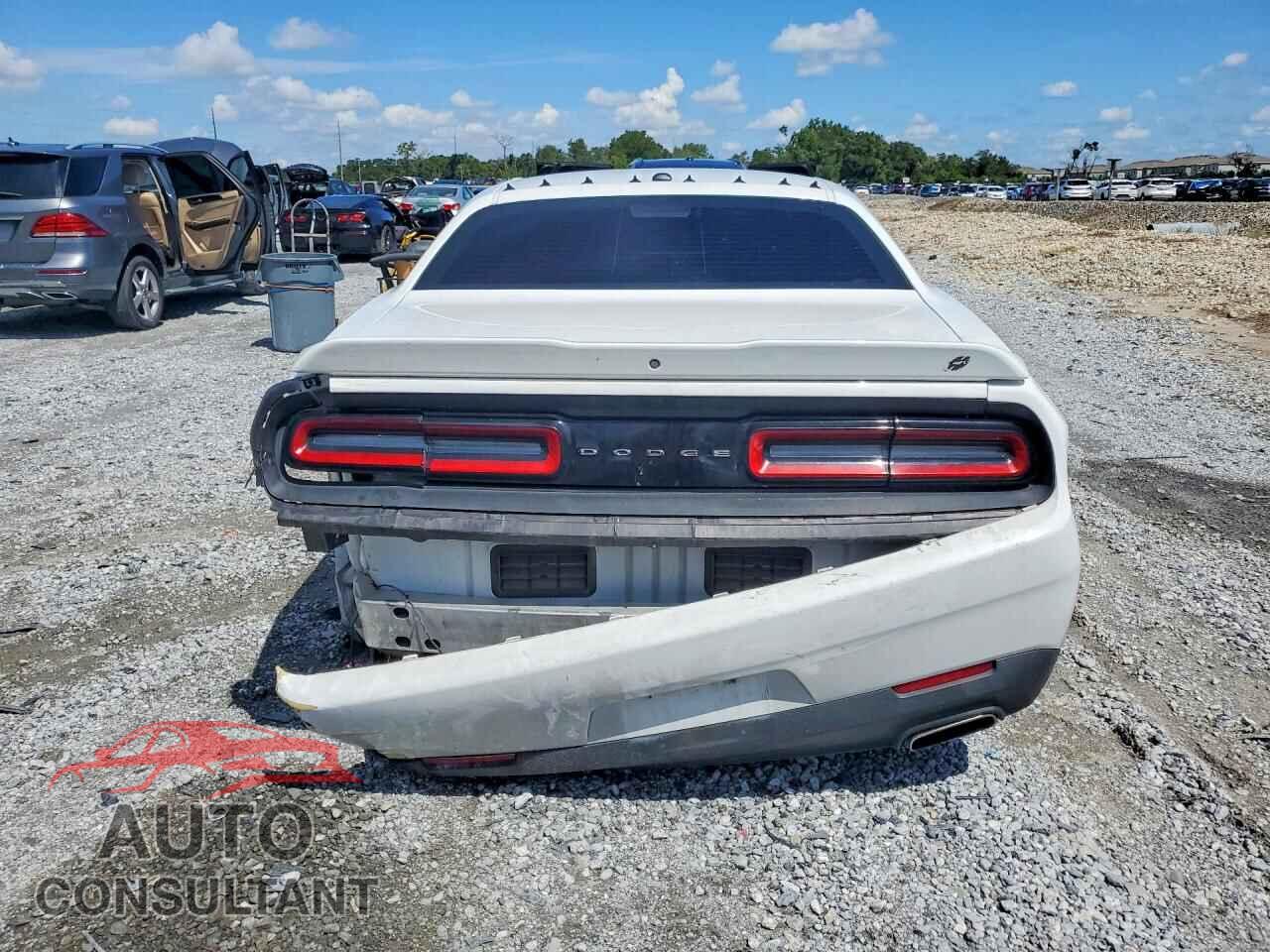 DODGE CHALLENGER 2019 - 2C3CDZGG6KH709057