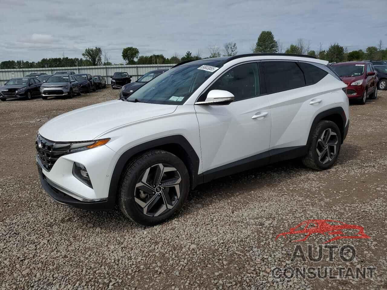 HYUNDAI TUCSON 2022 - 5NMJECAE8NH106219