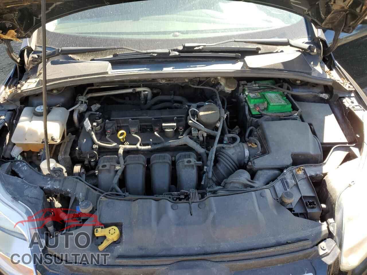 FORD FOCUS 2013 - 1FADP3F23DL374202