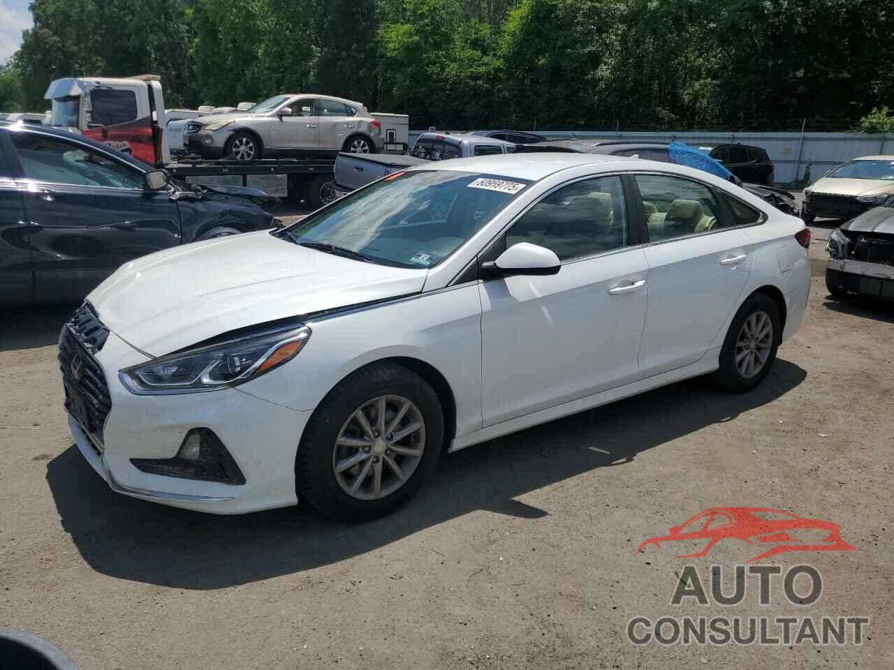 HYUNDAI SONATA 2019 - 5NPE24AF0KH760414