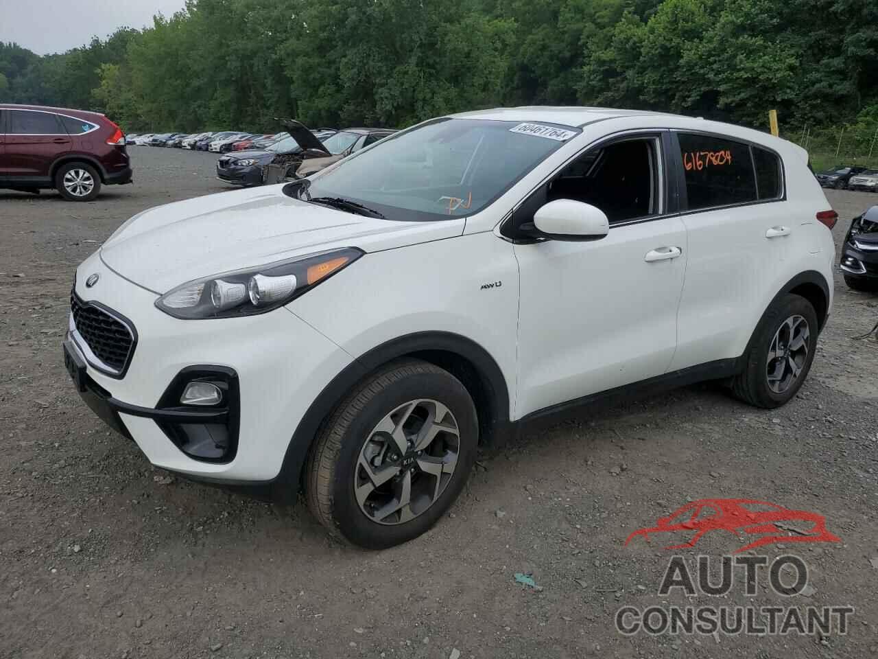 KIA SPORTAGE 2021 - KNDPMCAC5M7877836