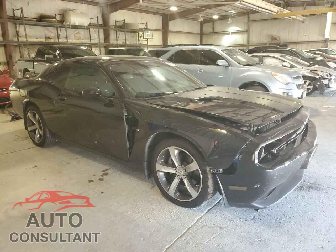 DODGE CHALLENGER 2014 - 2C3CDYAG4EH310641