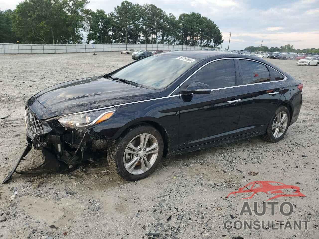 HYUNDAI SONATA 2019 - 5NPE34AF6KH761791