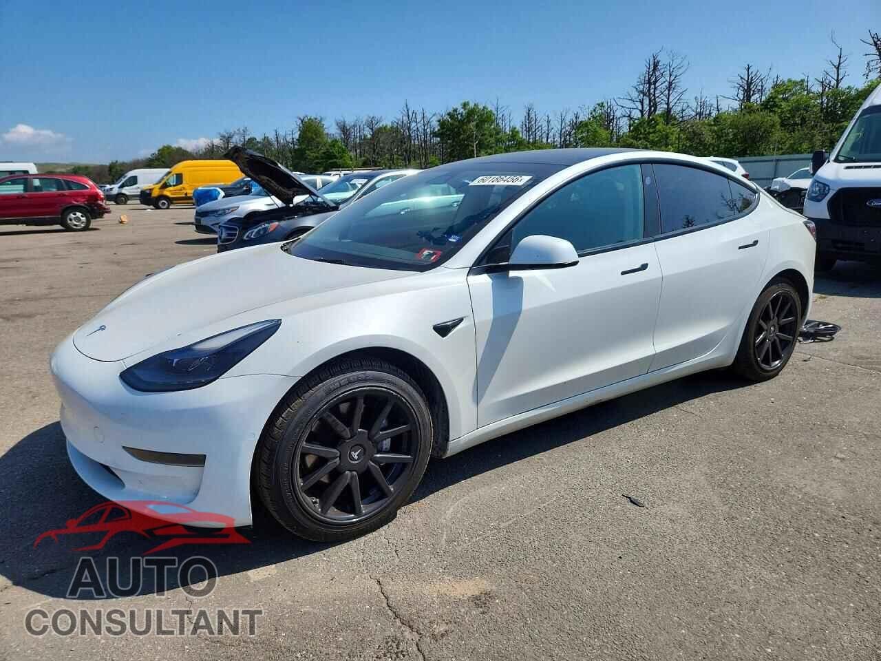 TESLA MODEL 3 2021 - 5YJ3E1EA0MF090103
